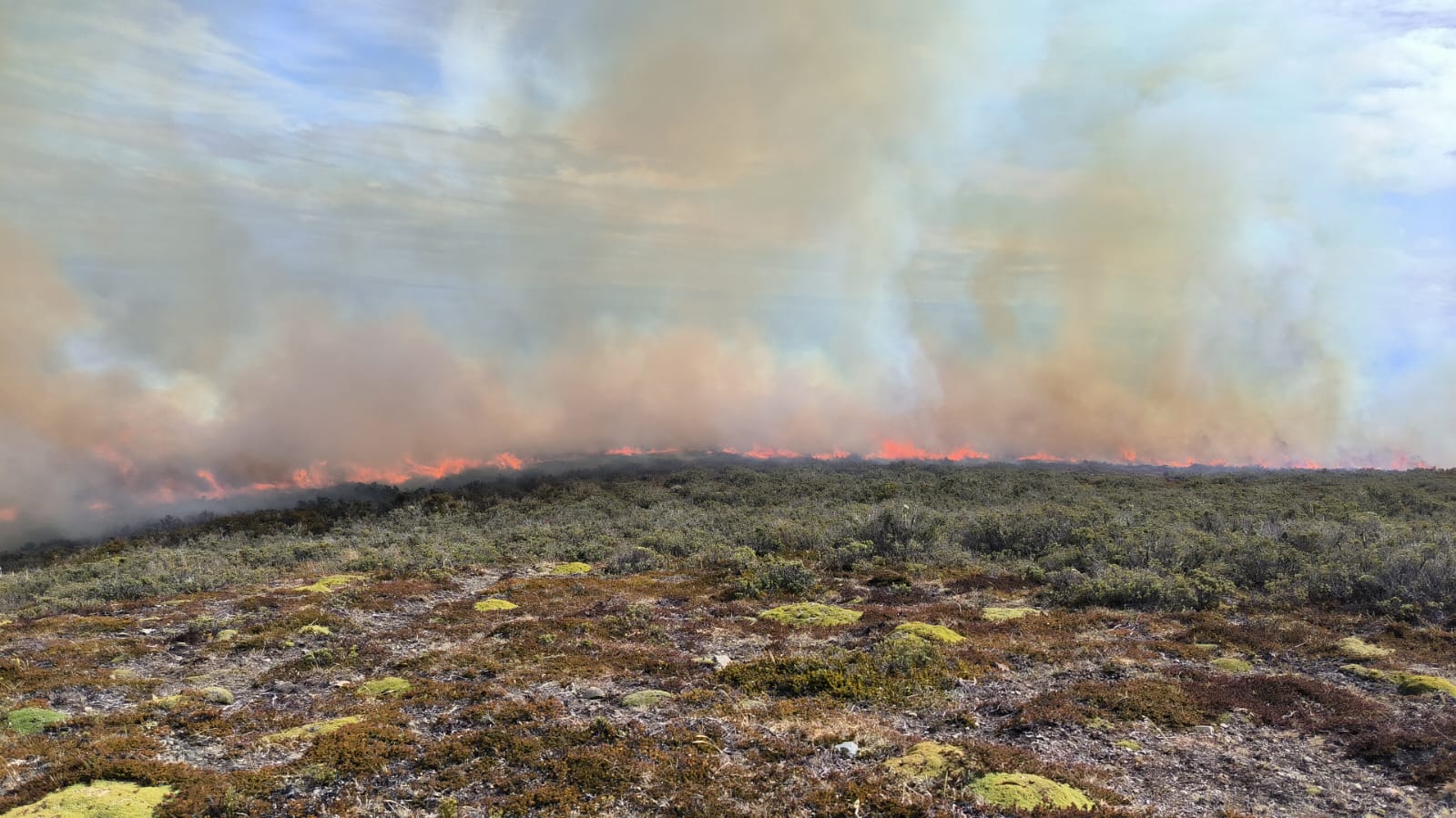 [Actualización] Alerta Roja por incendio en la provincia de Tierra del Fuego